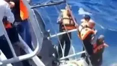 Un ferry con 267 personas a bordo naufragó frente a las costas del norte de Chipre./Especial