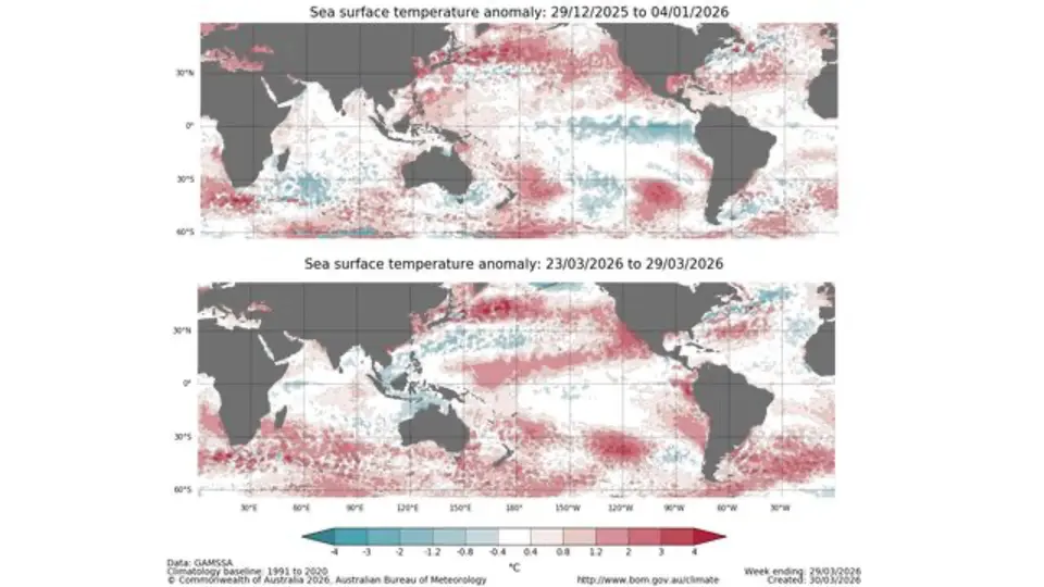 Así se preparo El Niño para 2026 / Redes Sociales