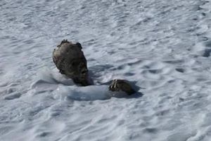 Alpinistas encuentran 'momia' en Pico de Orizaba