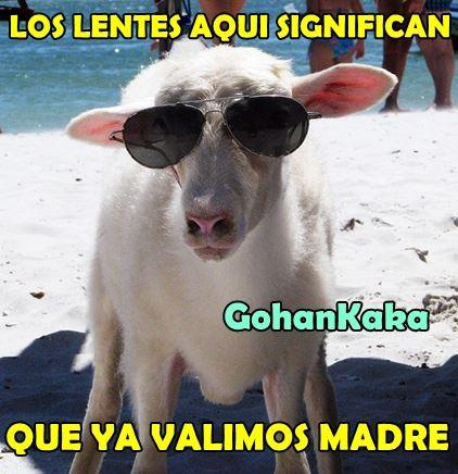 FOTO: ESPECIAL