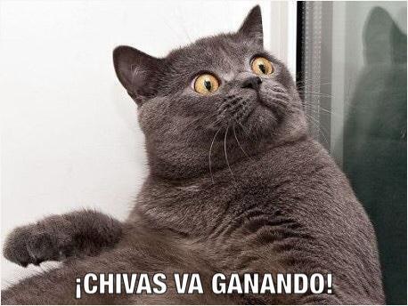 FOTO: ESPECIAL