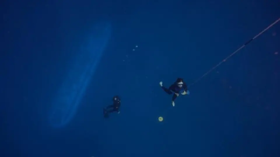 Elite del deporte extremo experimenta en el buceo