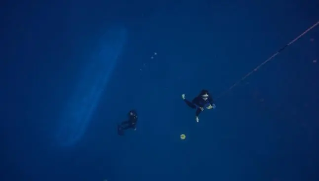 Elite del deporte extremo experimenta en el buceo