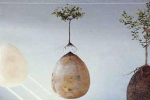 Crean cápsula que convertiría a los muertos en árboles