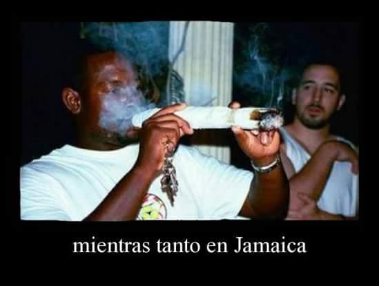 FOTO: ESPECIAL