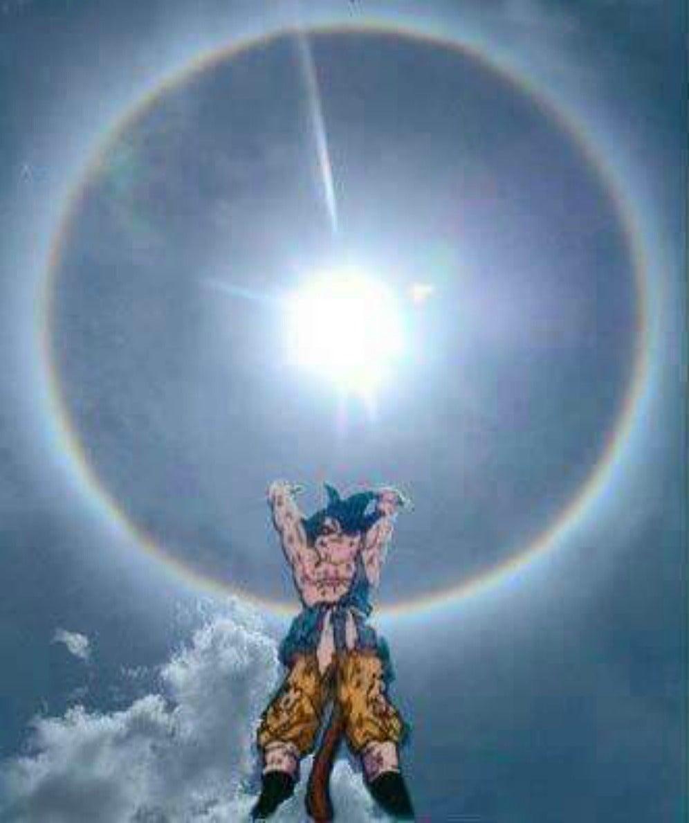 FOTO: ESPECIAL