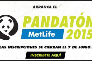 Hipódromo de las Américas será testigo del primer Pandatón