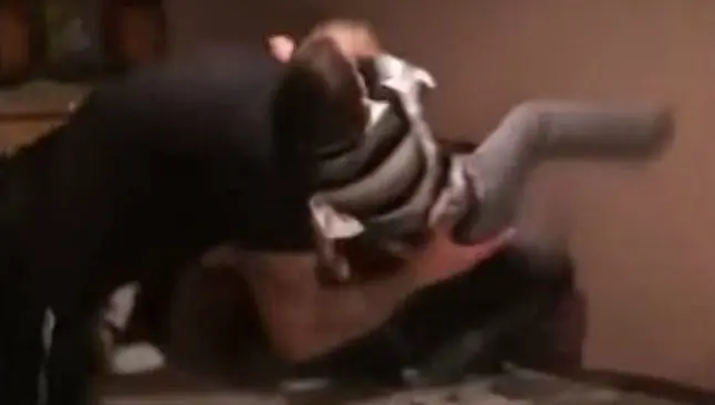 Randy Orton recibe la famosa RKO' de un niño