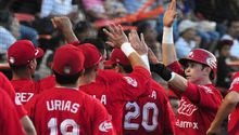 Diablos anuncia venta de abonos para temporada 2015