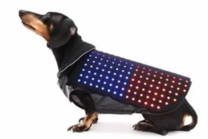 Disco Dog, el chaleco para no perder a tu perro