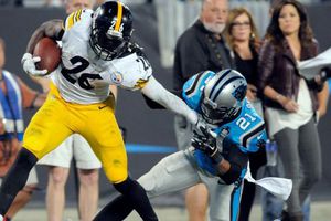 Acereros 'regresa a la vida' en Carolina