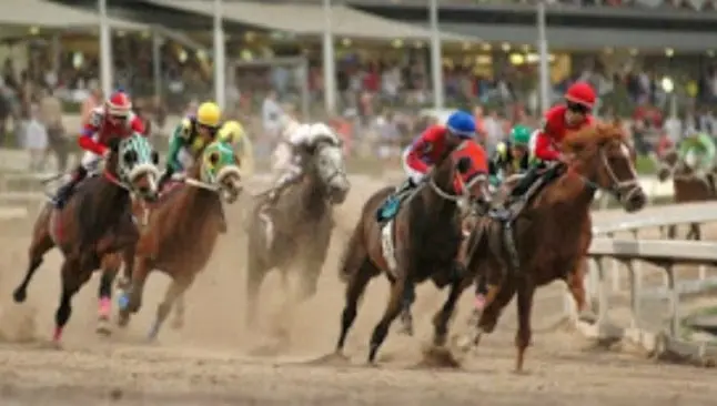 Caballo 'No Fue Penal' gana carrera en el hipódromo
