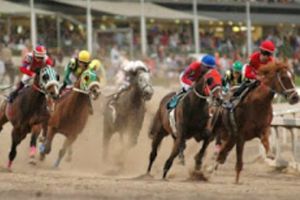 Caballo 'No Fue Penal' gana carrera en el hipódromo