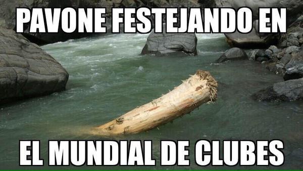 FOTO: ESPECIAL