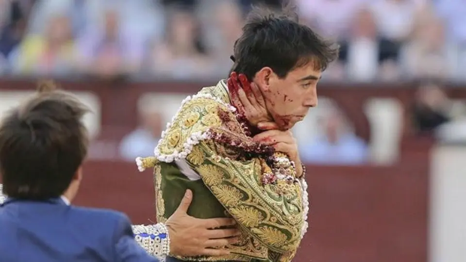 Torero español se reporta estable tras cornada en el cuello