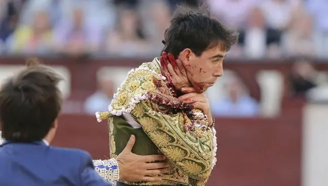 Torero español se reporta estable tras cornada en el cuello