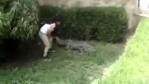 Joven de Monterrey molesta a un cocodrilo en el zoológico