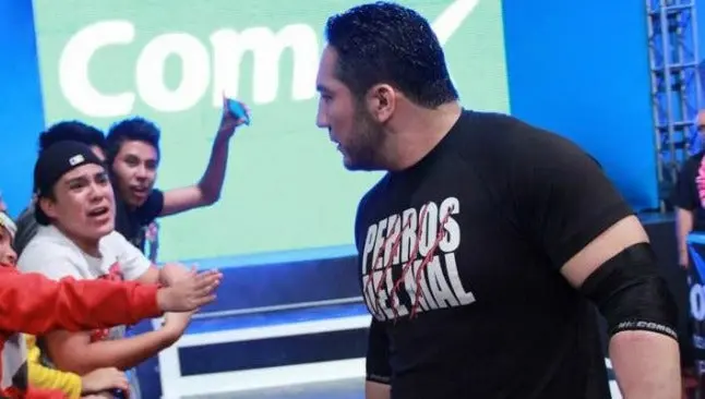 'Se le dio el mejor servicio al Perro': Comisión de Lucha de Tijuana