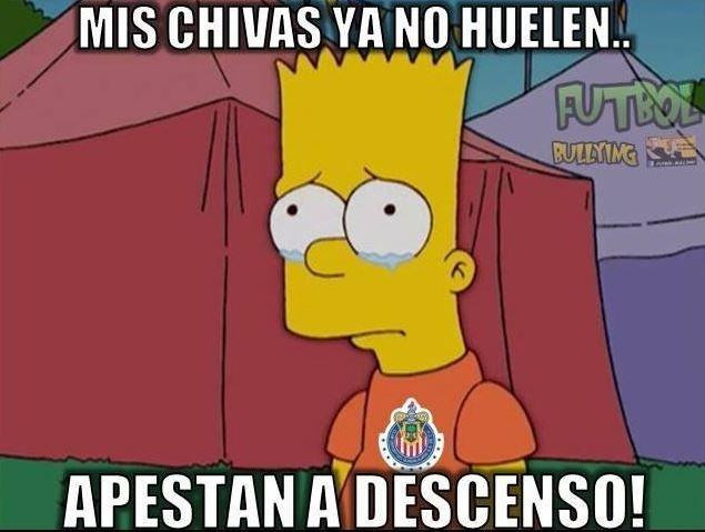 FOTO: ESPECIAL