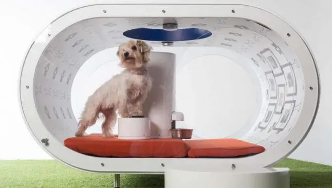 Samsung construye lujosa casa para perros