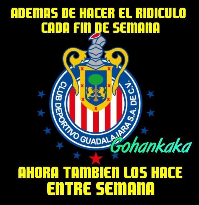 FOTO: ESPECIAL
