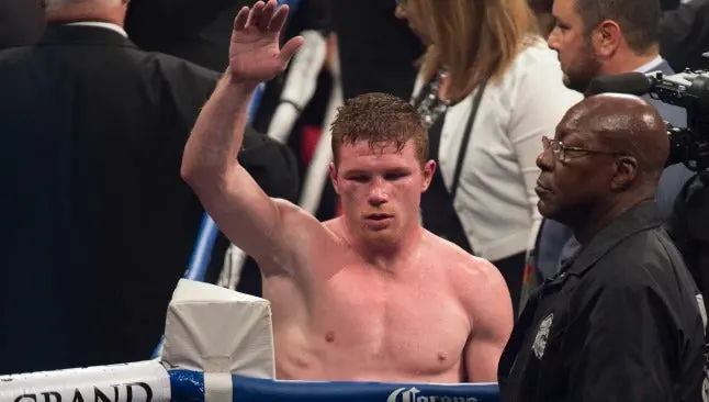 Canelo y Chávez Jr. tuvieron un 2014 improductivo