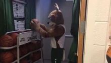 Mascota de Bucks trollea a Patriotas desinflando balones