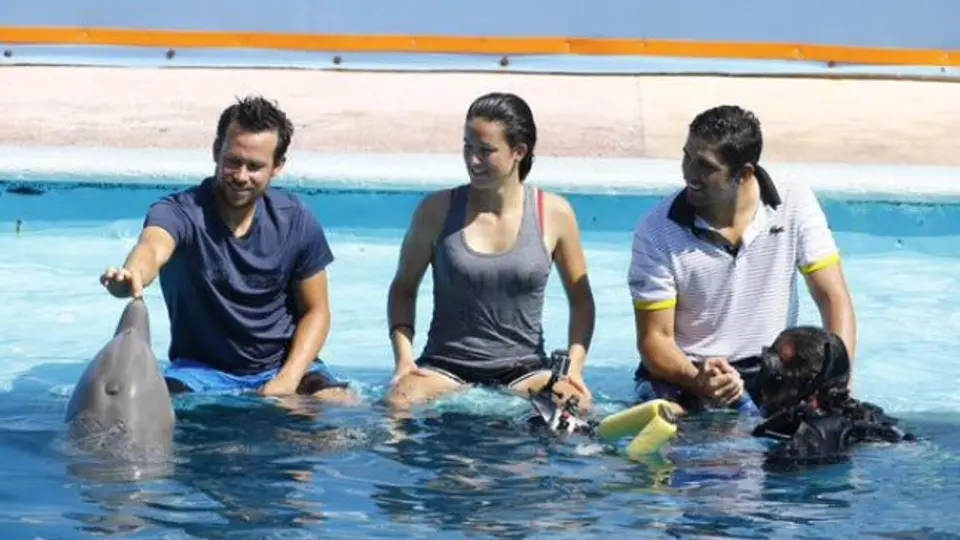 Tenistas conviven con delfines en Abierto Mexicano