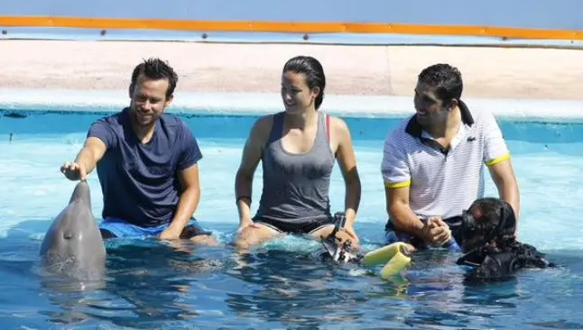 Tenistas conviven con delfines en Abierto Mexicano