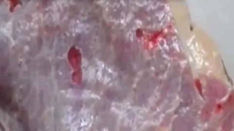 Un trozo de carne que 'tiene vida'