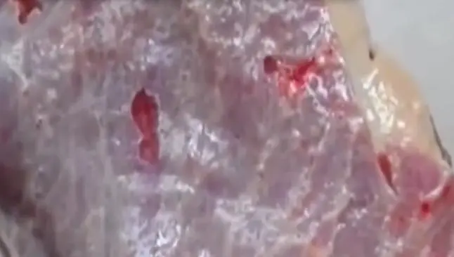 Un trozo de carne que 'tiene vida'