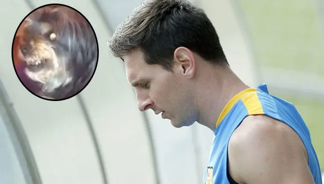 Perro 'se enoja' al escuchar la palabra Messi