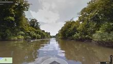 Google Street View te lleva a recorrer el Amazonas