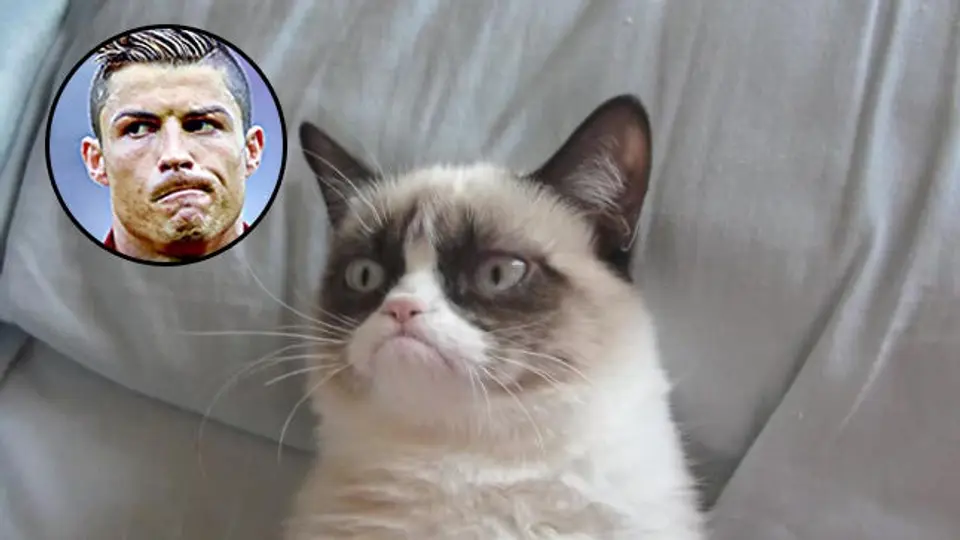 'Grumpy Cat' ha generado más dinero que CR7 en dos años
