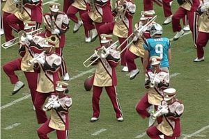 Pateador de Panteras calienta en medio de la banda