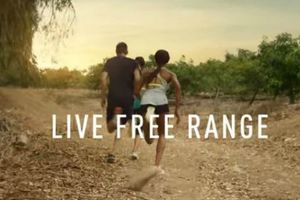 Reebok lanza el Free Range' para promover una vida fitness