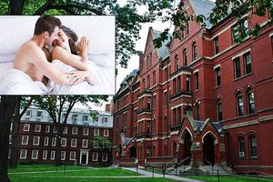 En Harvard podrás tomar clases sobre cómo tener sexo