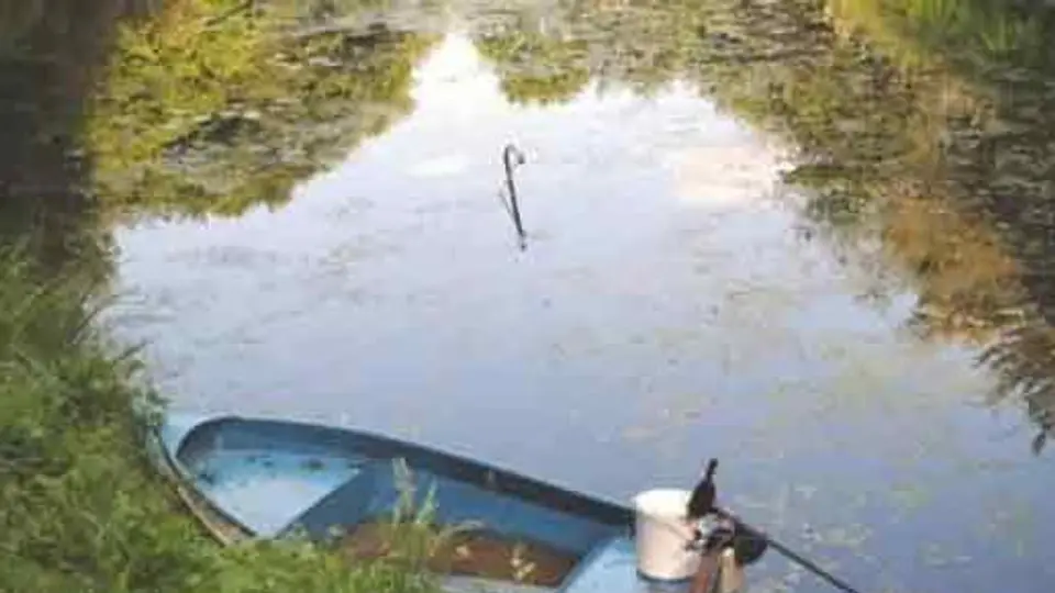 Intenta drenar lago para recuperar celular