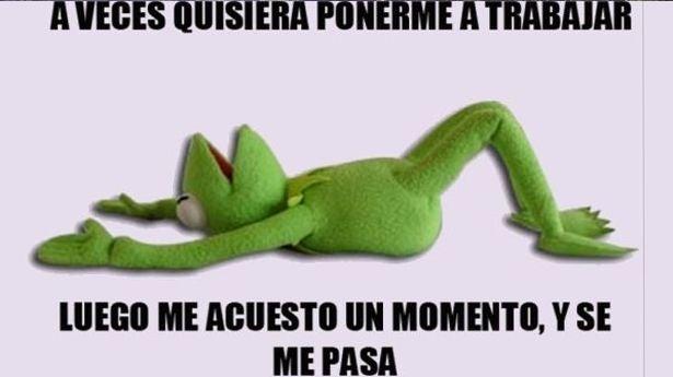 FOTO: ESPECIAL
