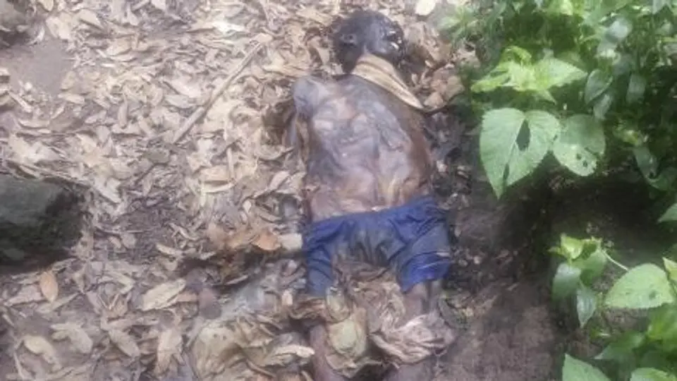 Hallan momia en Bosque de Chapultepec