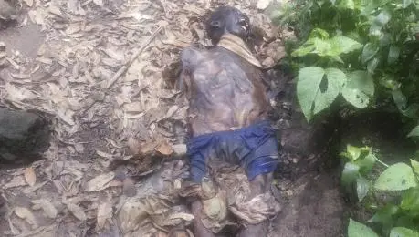 Hallan momia en Bosque de Chapultepec