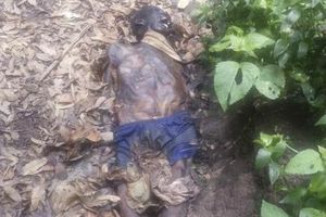 Hallan momia en Bosque de Chapultepec