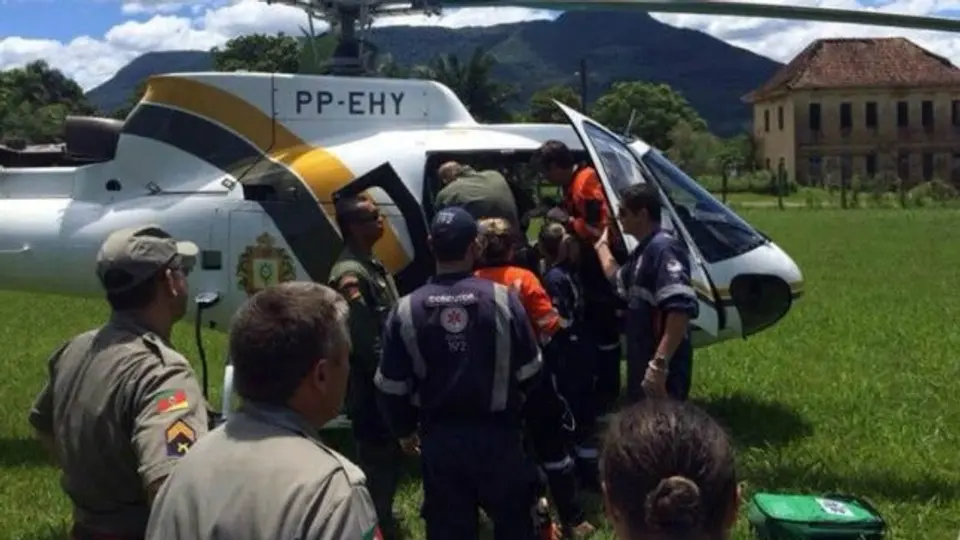 Alpinistas mueren tras ataque de abejas