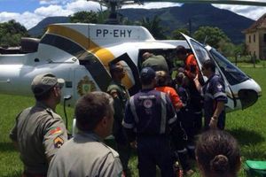 Alpinistas mueren tras ataque de abejas