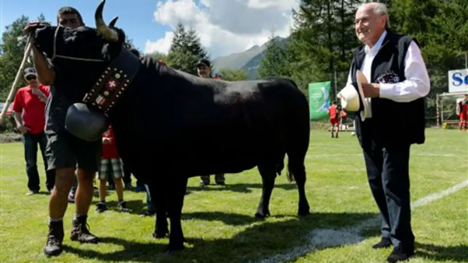 Blatter acepta una vaca de regalo en Suiza