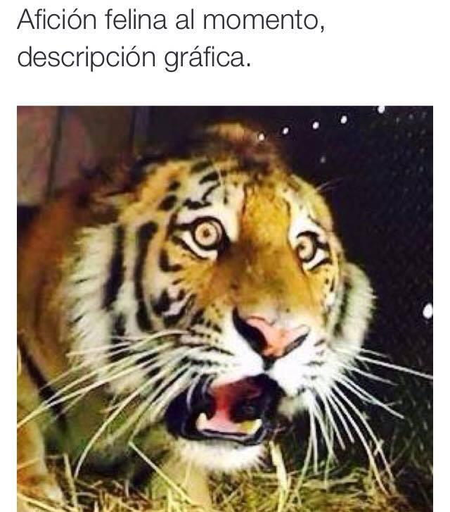 FOTO: FOTO: ESPECIAL