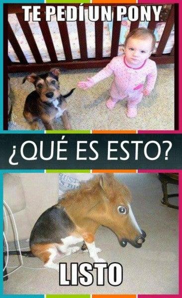 FOTO: ESPECIAL
