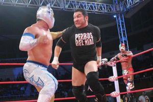 Revelan resultado de la autopsia del Hijo del Perro Aguayo