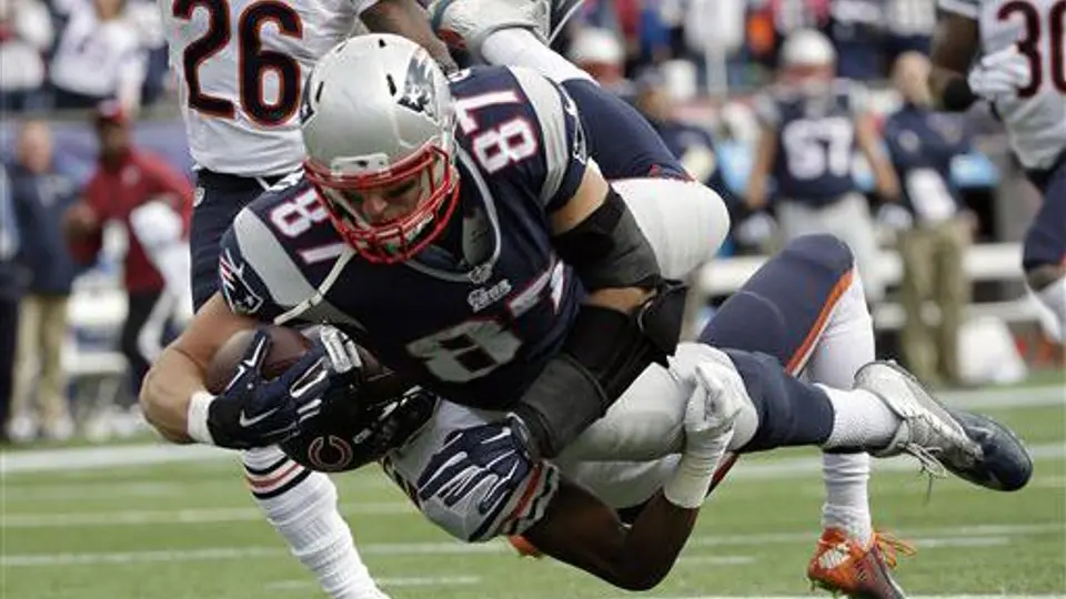 Patriotas aplasta a Osos y mantiene buena racha