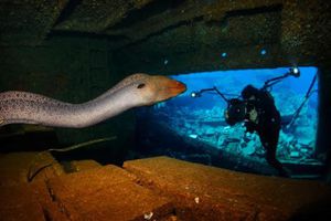 Conoce a los ganadores del Fotógrafo Marino del año